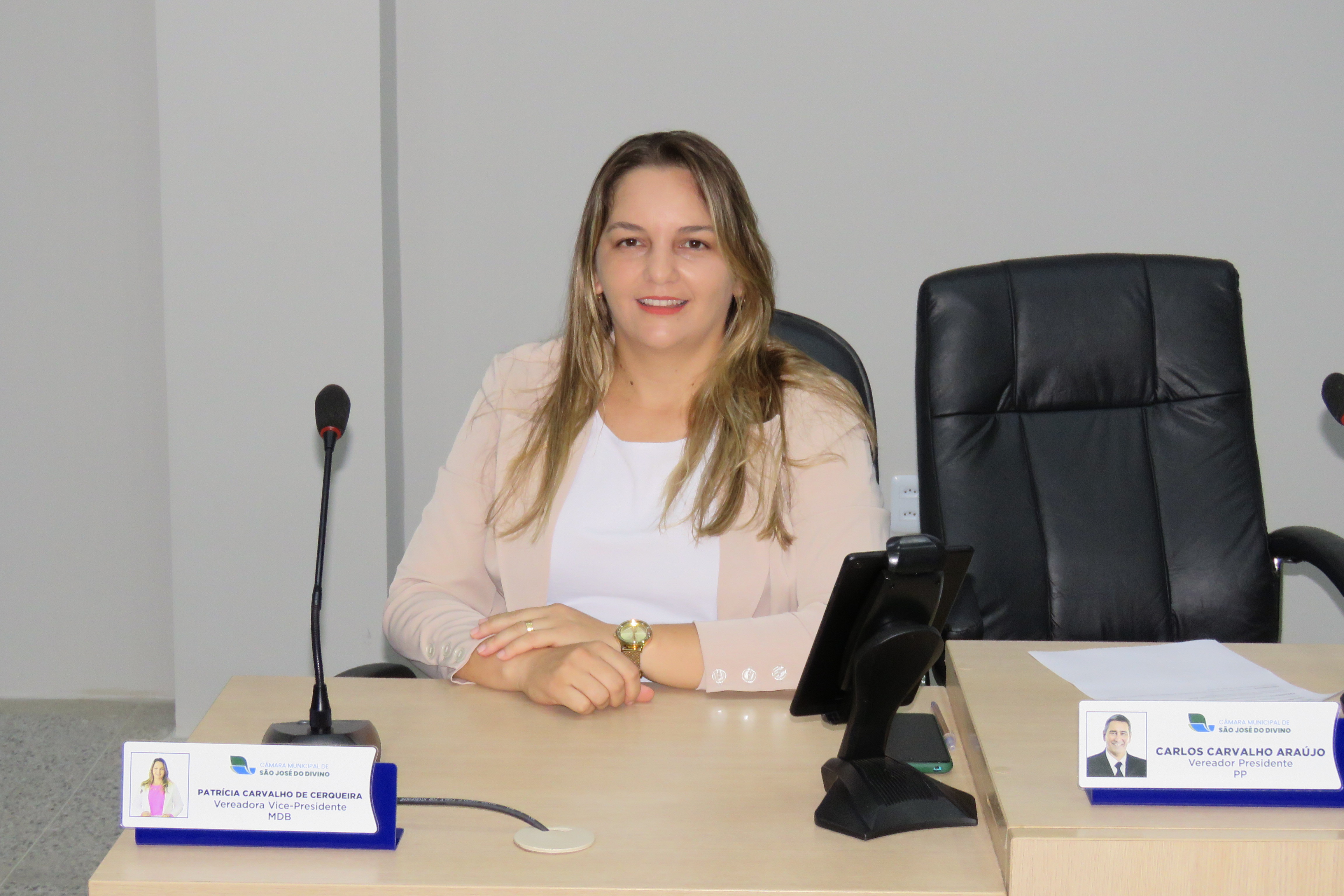 Indicação da Ver. Patrícia solicita ao Executivo disponibilização de um playground infantil na creche municipal.