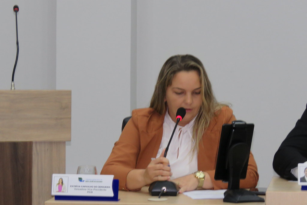 Indicação da vereadora Patrícia Cerqueira, busca construção de uma rotatória  na entrada da PI 311