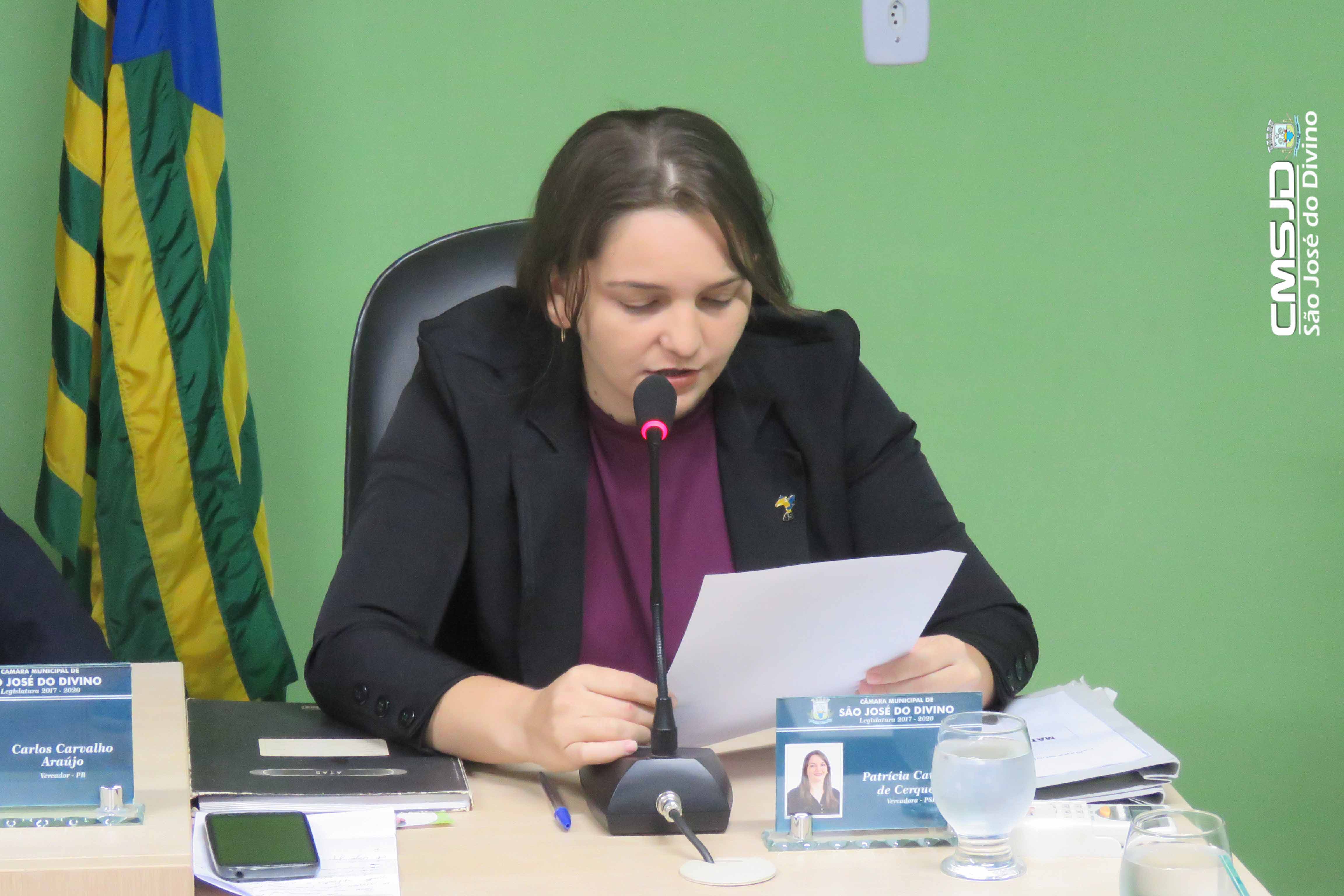 Ver. Patrícia solicita ao Prefeito, recuperação da PI 311